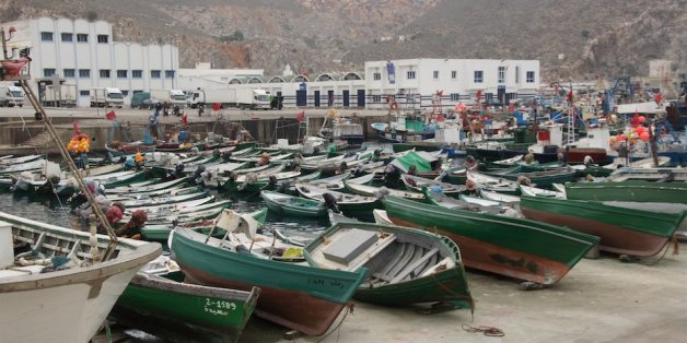 Al Hoceima: Les pêcheurs reprennent leur activité après la perte de leurs filets à cause des "dauphins noirs"