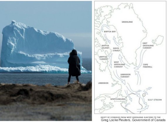 iceberg alley newfoundland 2021