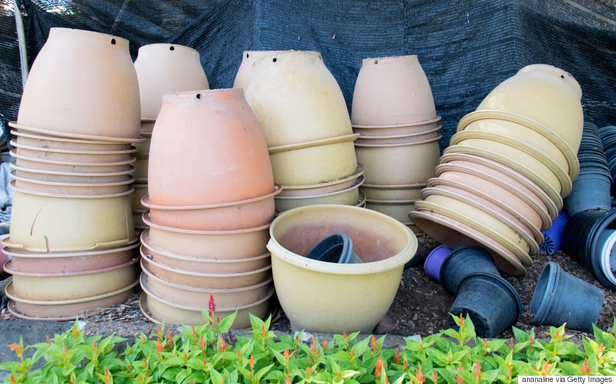 Four Steps To Create The Best Herb Garden