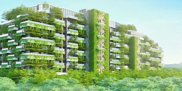 Der "Forest in the Sky" ist mit mehr als 50.000 Bäumen bepflanzt.
