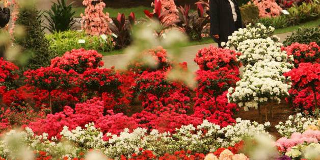 Visitors walk through an exhibition of flowers and garden called the "Floralies/Floralien" in Ghent, northern Belgium, April 16, 2005. The exhibition, which take place every five years, has on display hundreds of variety of flowers. REUTERS/Yves Herman YH/KS