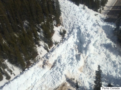lake louise avalanche