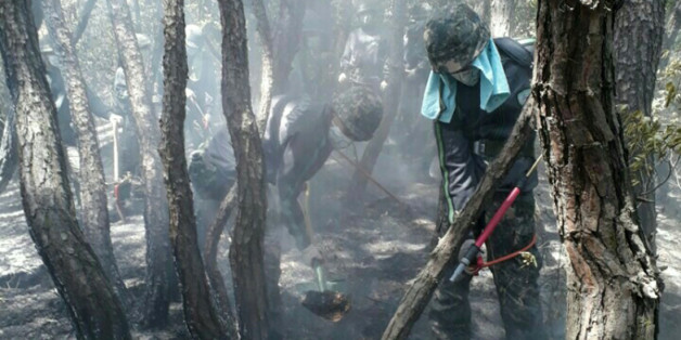 육군 50보병사단 낙동강연대 장병들이 7일 오전 경북 상주시 사벌면 덕가리 일대에서 산불 잔불 정리작업을 하고 있다.