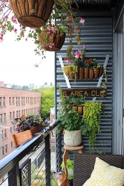 plantes