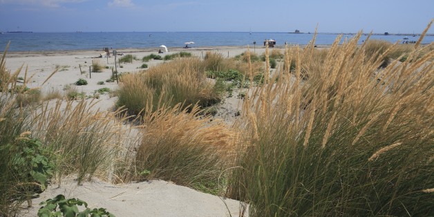 UNSPECIFIED - MAY 23: Italy - Veneto Region - Venice. Lido. Dunes at WWF protected Alberoni beach (Photo by DEA / DIEGO M.ROSSI/De Agostini/Getty Images)