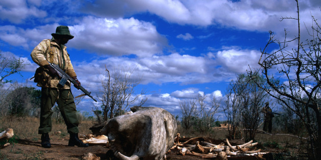 Tsavo East National Park, Coast, Kenya, Africa, East Africa