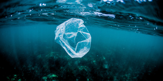 Une "COP" des océans bientôt organisée à New York