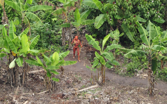 uncontacted tribes