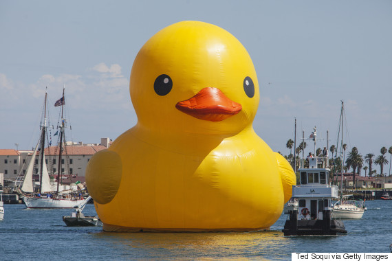 o-GIANT-DUCK-570.jpg