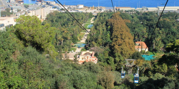 Vue sur le jardin d'essai d'Alger vue du monument des martyr