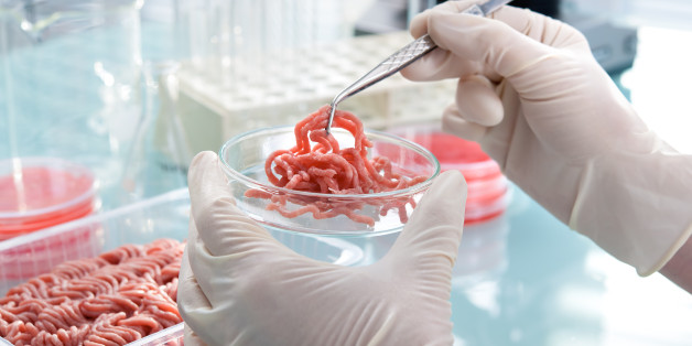 Food quality control expert inspecting at meat specimen in the laboratory