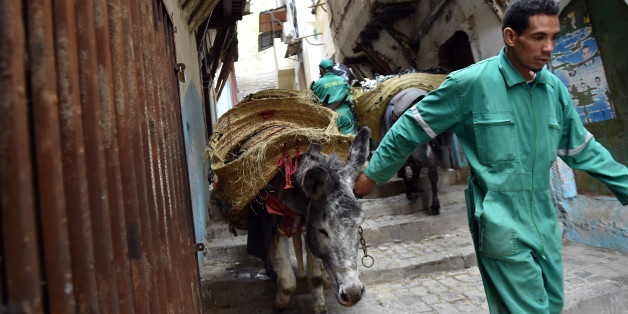 A garbage collector leads donkeys in the old part of Algiers, known as the 'Kasbah', on May 22, 2017 as they collect the rubbish in the alleyways of this medina built during the 10th century under Zirid rule.
It's a rubbish job, but someone has to do it. Or some animal: in the alleyways of Algiers' famed Kasbah, donkeys shift tonnes of trash every day.
/ AFP PHOTO / RYAD KRAMDI (Photo credit should read RYAD KRAMDI/AFP/Getty Images)