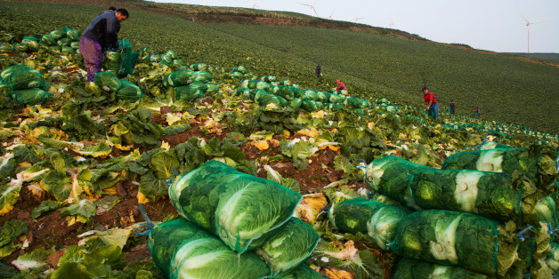 해당 사진은 자료사진입니다. BLOOMBERG VIA GETTY IMAGES