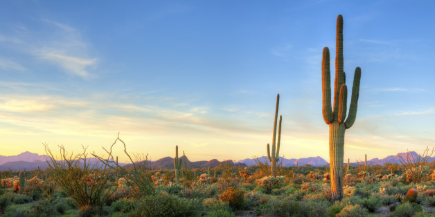 Die Sommerhitze hat in Arizona mittlerweile 48 Grad erreicht.