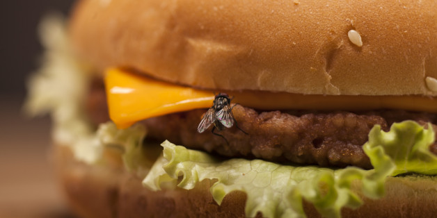Fresh delicious burger with cheese and lettuce with home fly on it
