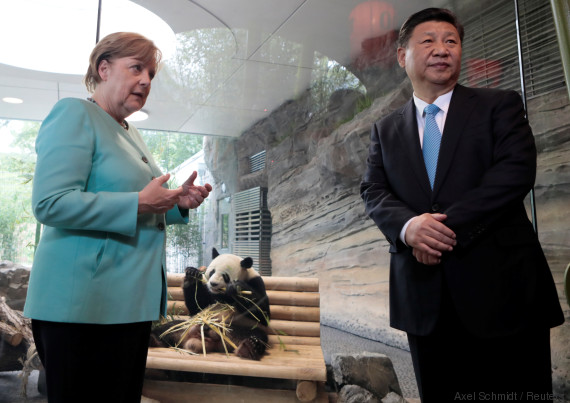 merkel panda