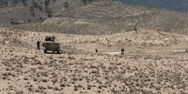 Tunisian soldiers patrol near the border with Algeria as seen from in the area of Mount Chambi, west Tunisia June 11, 2013. A mine exploded this morning injuring one local shepherd near Mount Chaambi in the Kasserine governorate near a closed military area, according to local media reports. REUTERS/Stringer (TUNISIA - Tags: MILITARY TRANSPORT)