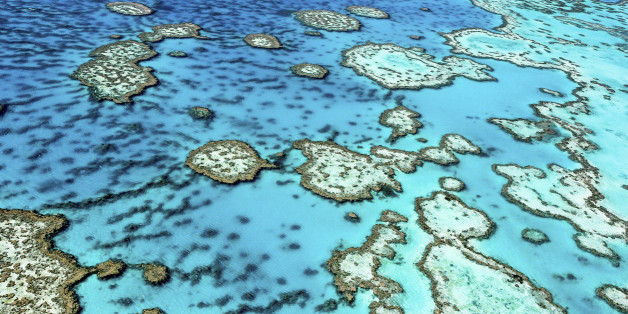 The Great Barrier Reef in north Queensland,Australia.