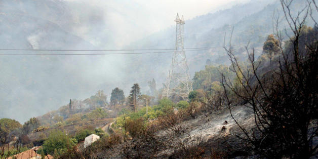 Trees and bushes burn around the village of Chrea, in the Blida Wilaya (district), some 50 kilometers from the capital city Algiers, 29 August 2007, as local authorities have decided to evacuate two villages in the area which were threatened by forest fire. AFP PHOTO STR (Photo credit should read STR/AFP/Getty Images)