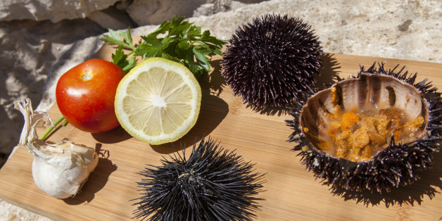 Fresh Sea Urchin served with mediterranean lemon, tomatoes, garlic, parsley, on wooden plate in stone house exterior, space for text