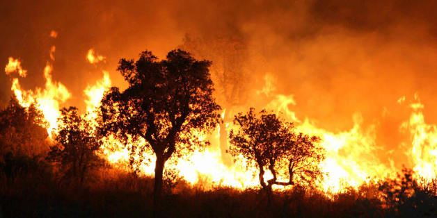 A fire burns late 01 September 2007 night in Tzarift, near Tlemcen, north-west of Algeria. Cooler temperatures in northern Algeria helped firefighters put out most of the blazes that have killed at least eight people and ravaged huge swathes of forest over the past 48 hours. AFP PHOTO STR (Photo credit should read STR/AFP/Getty Images)