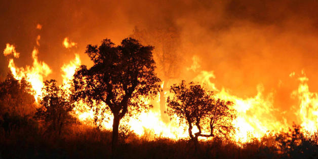 A fire burns late 01 September 2007 night in Tzarift, near Tlemcen, north-west of Algeria. Cooler temperatures in northern Algeria helped firefighters put out most of the blazes that have killed at least eight people and ravaged huge swathes of forest over the past 48 hours. AFP PHOTO STR (Photo credit should read STR/AFP/Getty Images)