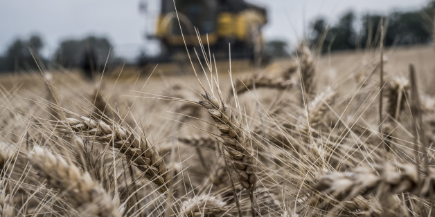 A combine harvester operates in a field of winter wheat during harvest near Pont-de-Salars, France, on Tuesday, Aug. 1, 2017. A line-up of 10 vessels expected to load wheat at Frances main grain-export harbor suggests European shipments will soon accelerate. Photographer: Balint Porneczi/Bloomberg via Getty Images
