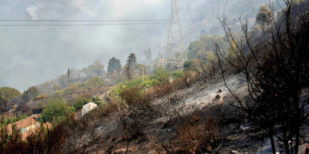 Trees and bushes burn around the village of Chrea, in the Blida Wilaya (district), some 50 kilometers from the capital city Algiers, 29 August 2007, as local authorities have decided to evacuate two villages in the area which were threatened by forest fire. AFP PHOTO STR (Photo credit should read STR/AFP/Getty Images)