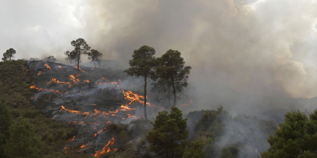 A forest fire burns in Bordj Bou Arreridj, 200km east of Algiers July 17, 2010 . The world is enduring the hottest year on record, according to a U.S. national weather analysis. For the first six months of the year, 2010 has been warmer than the first half of 1998, the previous record holder, by 0.03 degree Fahrenheit, said Jay Lawrimore, chief of climate analysis at the federal National Climatic Data Center. REUTERS/Louafi Larbi (ALGERIA - Tags: ENVIRONMENT)