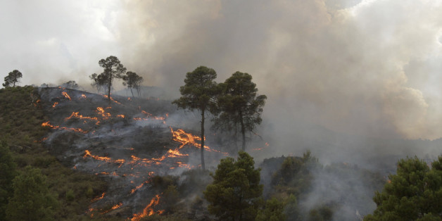 A forest fire burns in Bordj Bou Arreridj, 200km east of Algiers July 17, 2010 . The world is enduring the hottest year on record, according to a U.S. national weather analysis. For the first six months of the year, 2010 has been warmer than the first half of 1998, the previous record holder, by 0.03 degree Fahrenheit, said Jay Lawrimore, chief of climate analysis at the federal National Climatic Data Center. REUTERS/Louafi Larbi (ALGERIA - Tags: ENVIRONMENT)