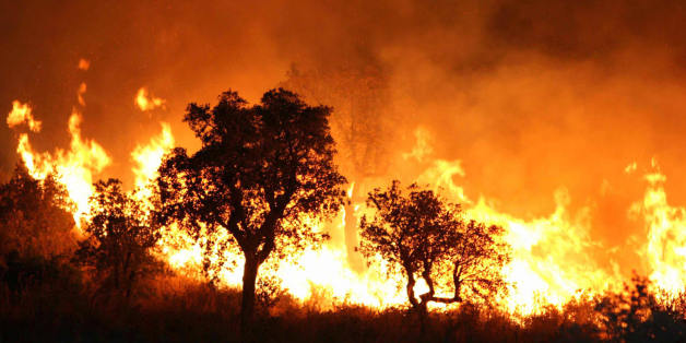 A fire burns late 01 September 2007 night in Tzarift, near Tlemcen, north-west of Algeria. Cooler temperatures in northern Algeria helped firefighters put out most of the blazes that have killed at least eight people and ravaged huge swathes of forest over the past 48 hours. AFP PHOTO STR (Photo credit should read STR/AFP/Getty Images)