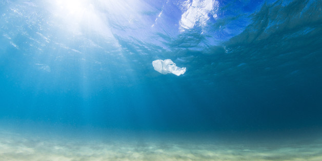 A plastic bag drifts in the clear blue ocean on a sunny day as a result of human pollution. Perfect for ocean conservation theme. (This bag was collected and taken out of the ocean)