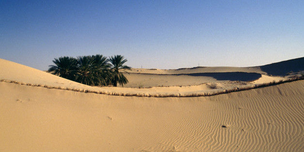 ALGERIA - MAY 11: Oasis near El Oued, Sahara Desert, Algeria. (Photo by DeAgostini/Getty Images)