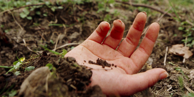 Murder victim. Exposed hand of a murder victim who has been buried in a shallow grave. The murderer is walking away from the crime scene. Forensic science may be able to help convict the murderer through evidence linking the criminal to the crime scene. This may include blood under the victims fingernails, deposited during a struggle with the murderer. Hair, other organic material and clothing fibres can cross- contaminate the body and the murderers clothes. Even earth from the ground may adhere to the murderers shoes and help to place the murderer at the crime scene.