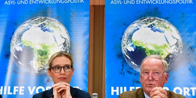 Das Logo der AfD.