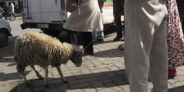 Moroccans buy a sheep in preparation of Eid al-Adha in Marrakech November 6, 2011. Muslims around the world celebrate Eid al-Adha to mark the end of the haj by slaughtering sheep, goats, cows and camels to commemorate Prophet Abraham's willingness to sacrifice his son Ismail on God's command. REUTERS/Jean Blondin (MOROCCO - Tags: RELIGION ANIMALS)
