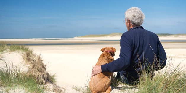 Man sitting with dog on sand dune at Dutch beach on wadden island Texel