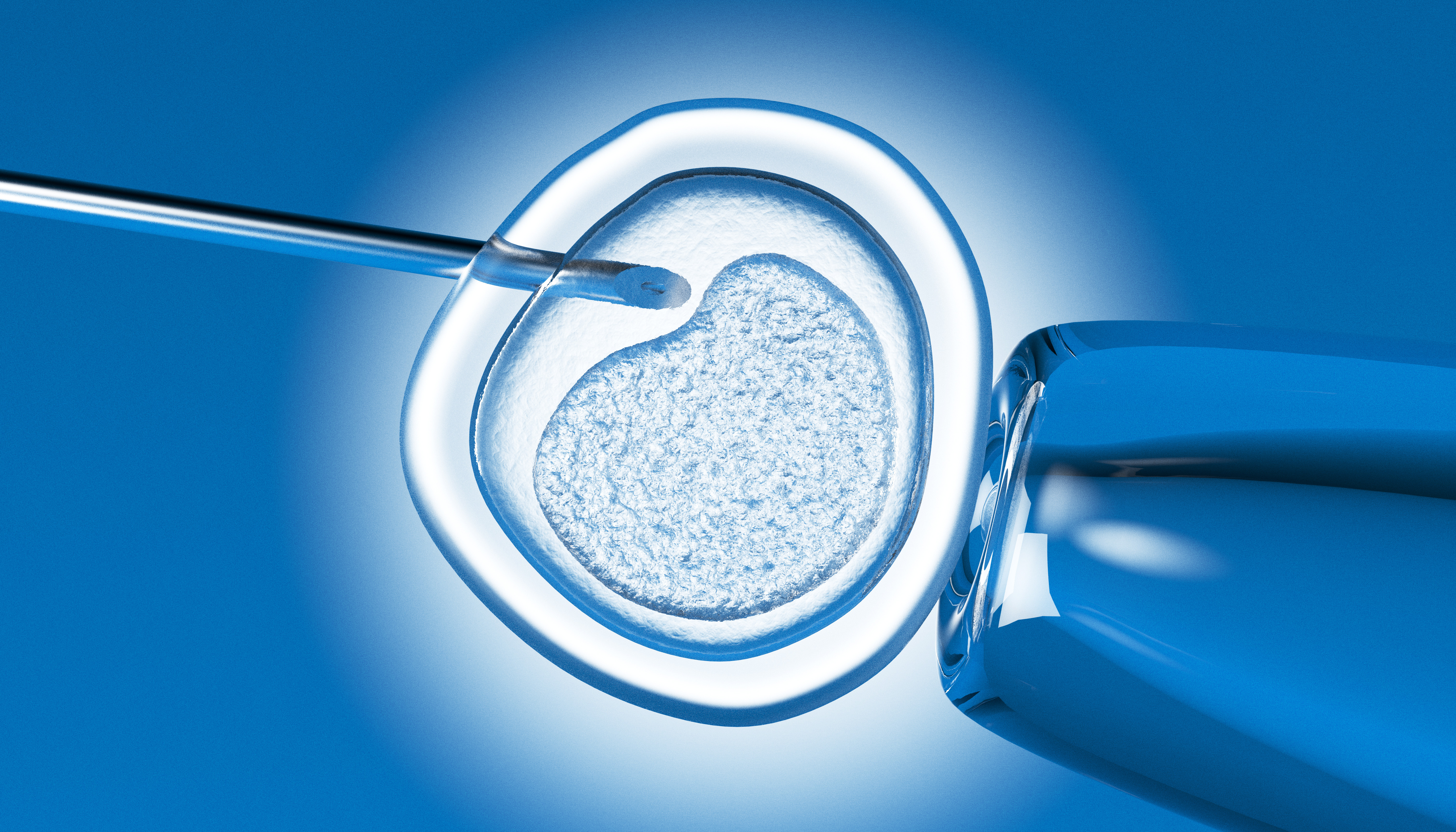 stem cells
