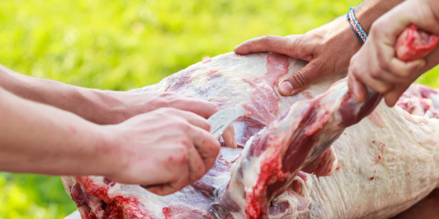 Fresh farm lamb meat a chopping process
