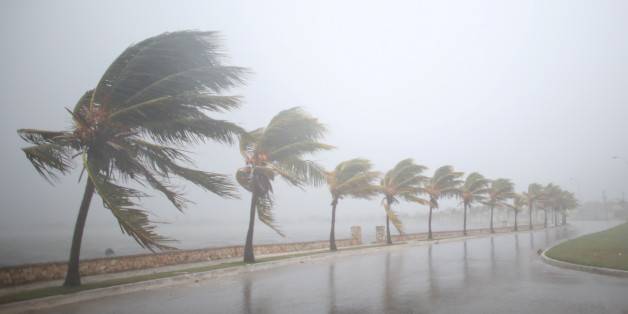 Palm trees sway in the wind prior to the arrival of the Hurricane Irma in Caibarien, Cuba, September 8, 2017. REUTERS/Alexandre Meneghini TPX IMAGES OF THE DAY