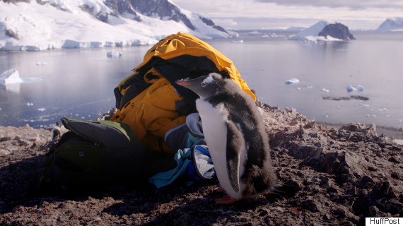 antarctica