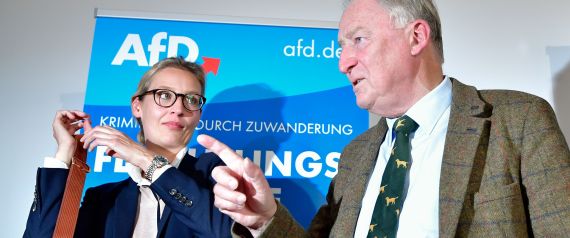 gauland weidel