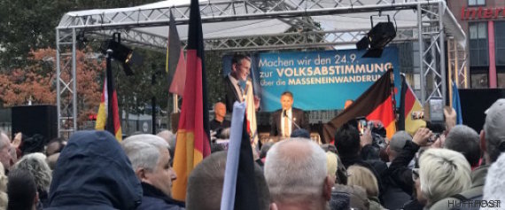 elections allemandes afd