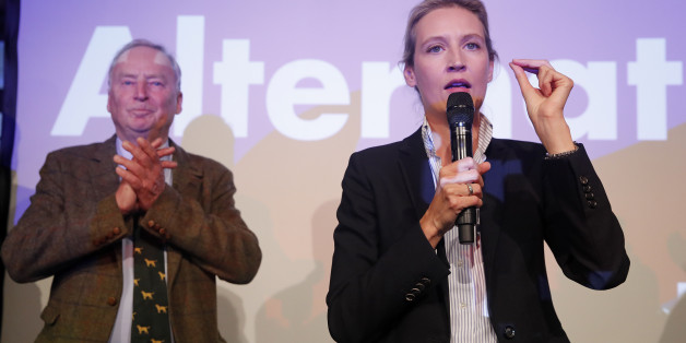 Bekannt sind natürlich auch Spitzenpolitiker wie Alexander Gauland, Alice Weidel und Jörg Meuthen.