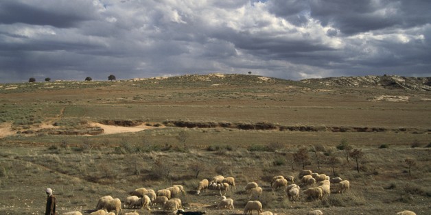 ALGERIA - MARCH 18: A flock of sheep and a shepherd, Djebel Amour mountain chain, Algeria. (Photo by DeAgostini/Getty Images)