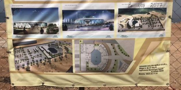 Polémique: On en sait plus sur le futur parc à dauphins d'Agadir