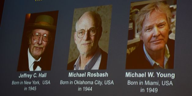 Winners of the 2017 Nobel Prize in Physiology or Medicine (L-R) Jeffrey C Hall, Michael Rosbash and Michael W Young are pictured on a display during a press conference at the Karolinska Institute in Stockholm on October 2, 2017.The 2017 Nobel prize season kicks off with the announcement of the medicine prize, to be followed over the next days by the other science awards and those for peace and literature.US trio Jeffrey C. Hall, Michael Rosbash and Michael W. Young won the 2017 Nobel Medicine Pr