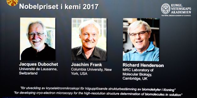 A screen displays portraits of winners of the 2017 Nobel Prize in Chemistry on October 4, 2017 at the Royal Swedish Academy of Sciences in Stockholm, Sweden (L-R) Jacques Dubochet from Switzerland, Joachim Frank from the US and Richard Henderson from Britain.
Scientists Jacques Dubochet from Switzerland, Joachim Frank from the US and Richard Henderson from Britain won the Nobel Chemistry Prize for the development of cryo-electron microscopy, a method of simplifying and improving the imaging of biomolecules. / AFP PHOTO / Jonathan NACKSTRAND (Photo credit should read JONATHAN NACKSTRAND/AFP/Getty Images)