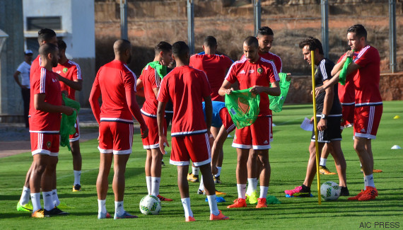 lions de latlas entrainement