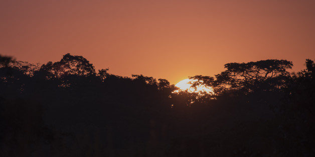 Raising Sun over Trees, Kasungu National Park, Malawi